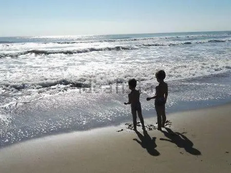 Playasol Alcanar Playa 아파트 *